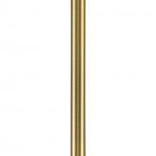 Stems/Rods