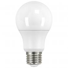 LED Bulbs