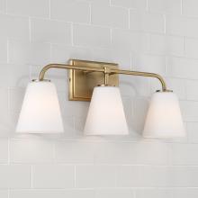 Capital 149431AD-543 - 3-Light Vanity
