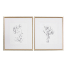 BOTANICAL SKETCHES